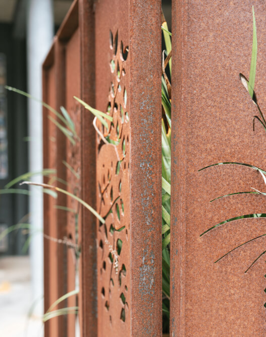 Privacy Screens