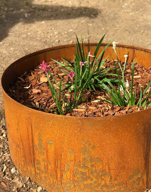 Garden Edging and Beds
