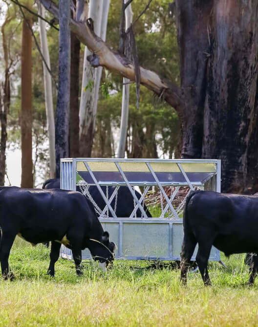 Stock Feeders